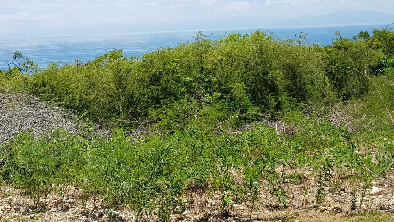 Planete Bleue Habitation Mes Desirs Βίλα Beaurenom Εξωτερικό φωτογραφία